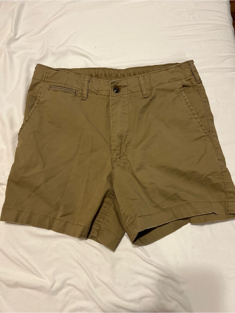 American Eagle Outfitters Men's Olive/Tan Flat Front Shorts